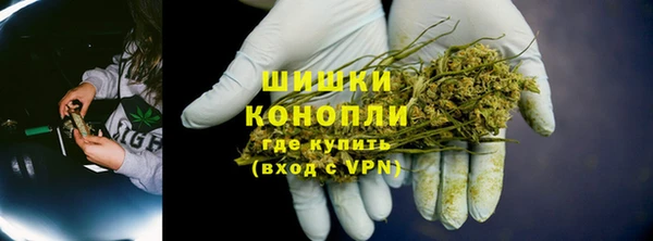 крисы Богородск