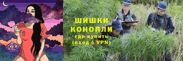 крисы Богородск