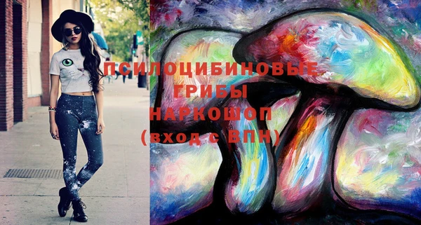 крисы Богородск