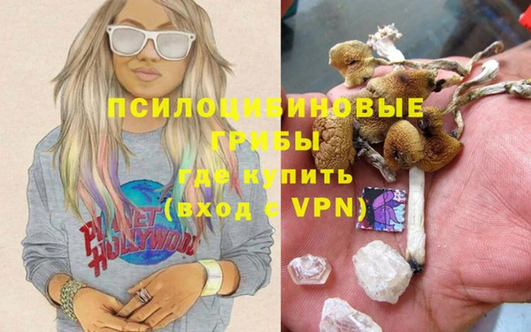 МДПВ Богданович