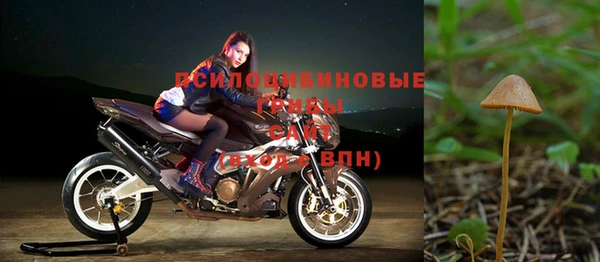 МДПВ Богданович