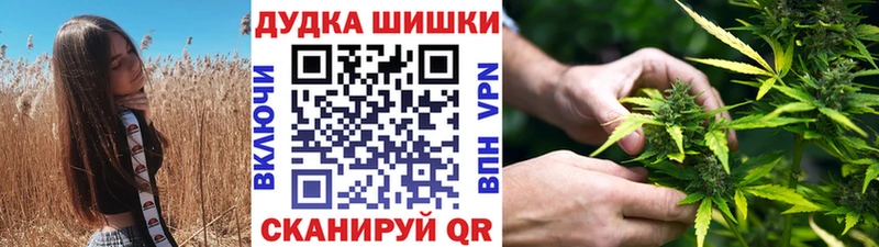 Конопля сатива  Купить закладки  Советский 